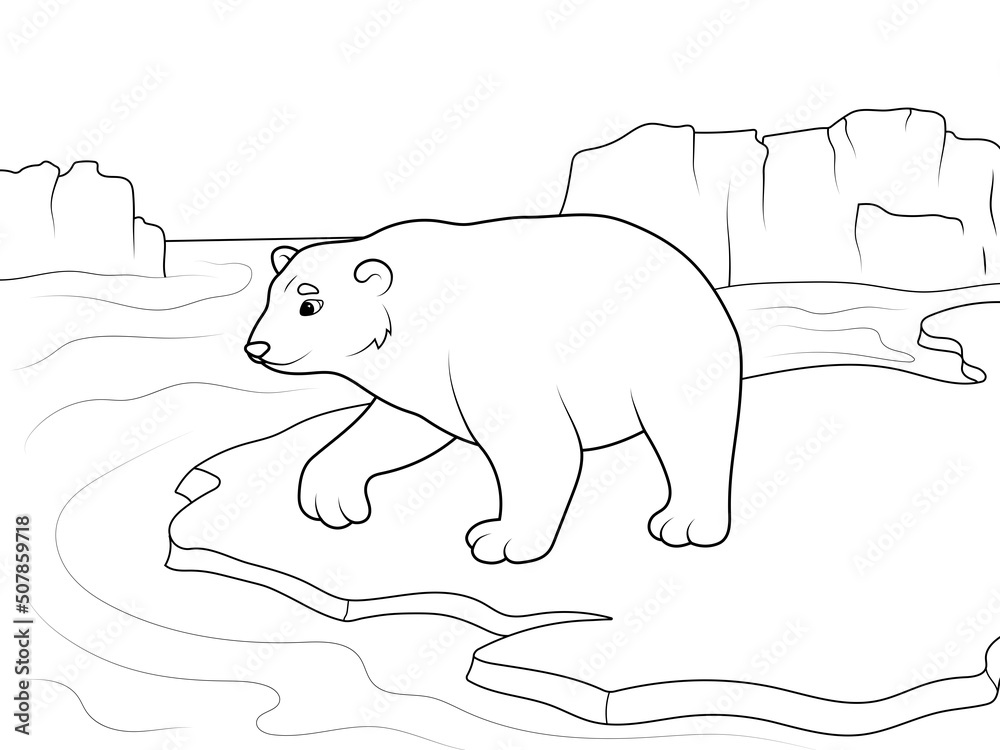 Bear coloring pages