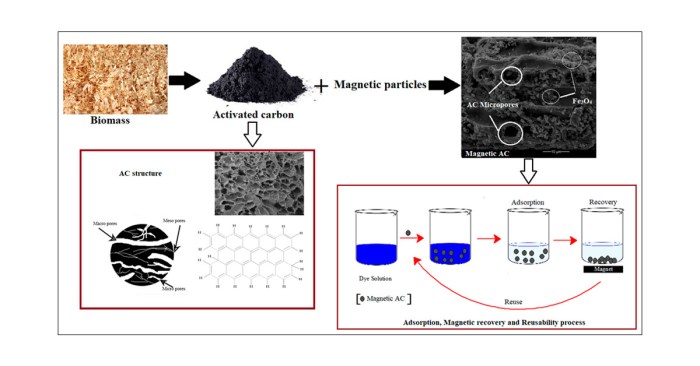 Activated charcoal as food coloring