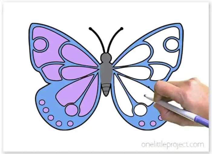 Butterfly coloring pages