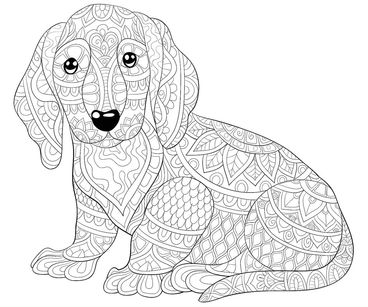 Printable dog coloring pages