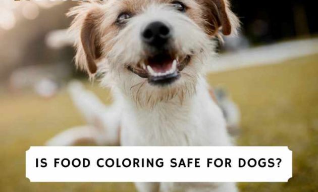 Is food coloring safe for dogs