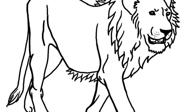 Lion coloring pages