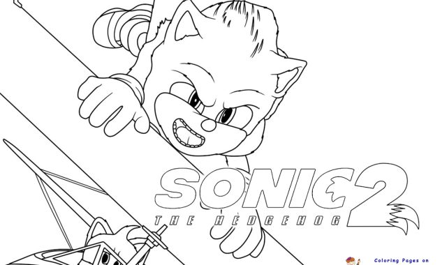 Sonic color pages