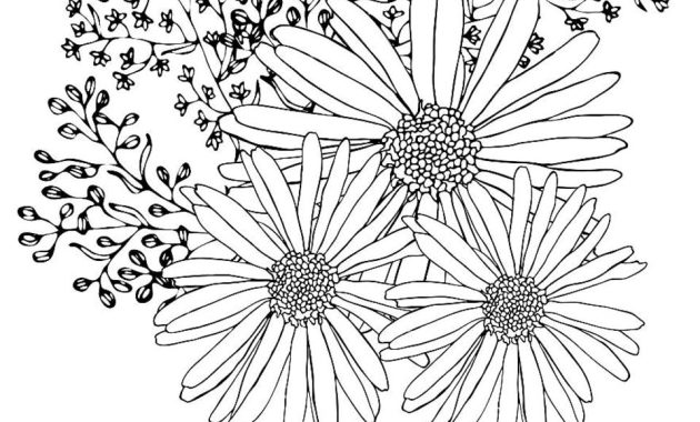 Printable flower coloring pages