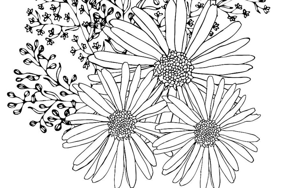 Printable flower coloring pages