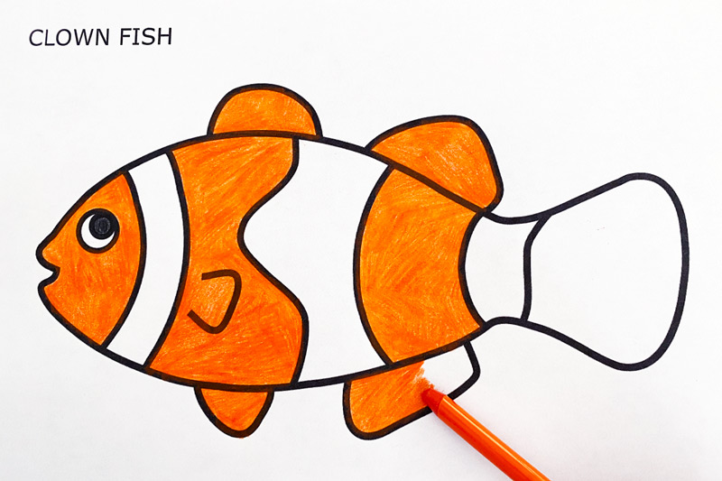 Fish coloring pages