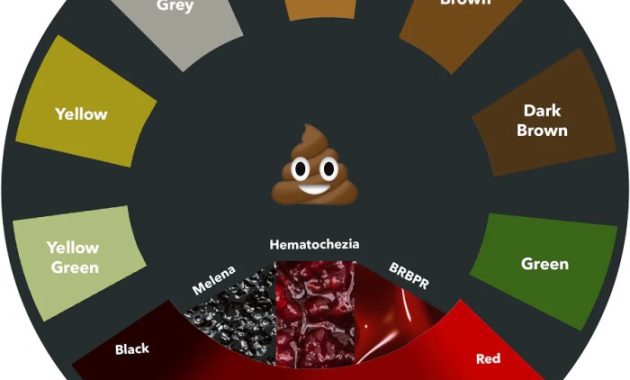 Blood or food coloring in stool