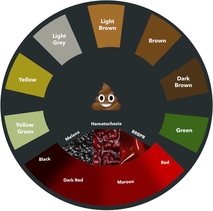 Blood or food coloring in stool