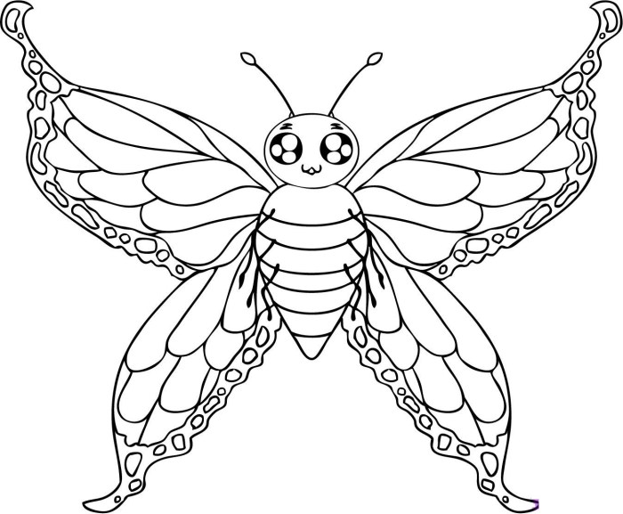 Butterfly coloring pages