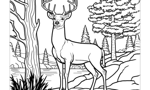 Deer coloring pages