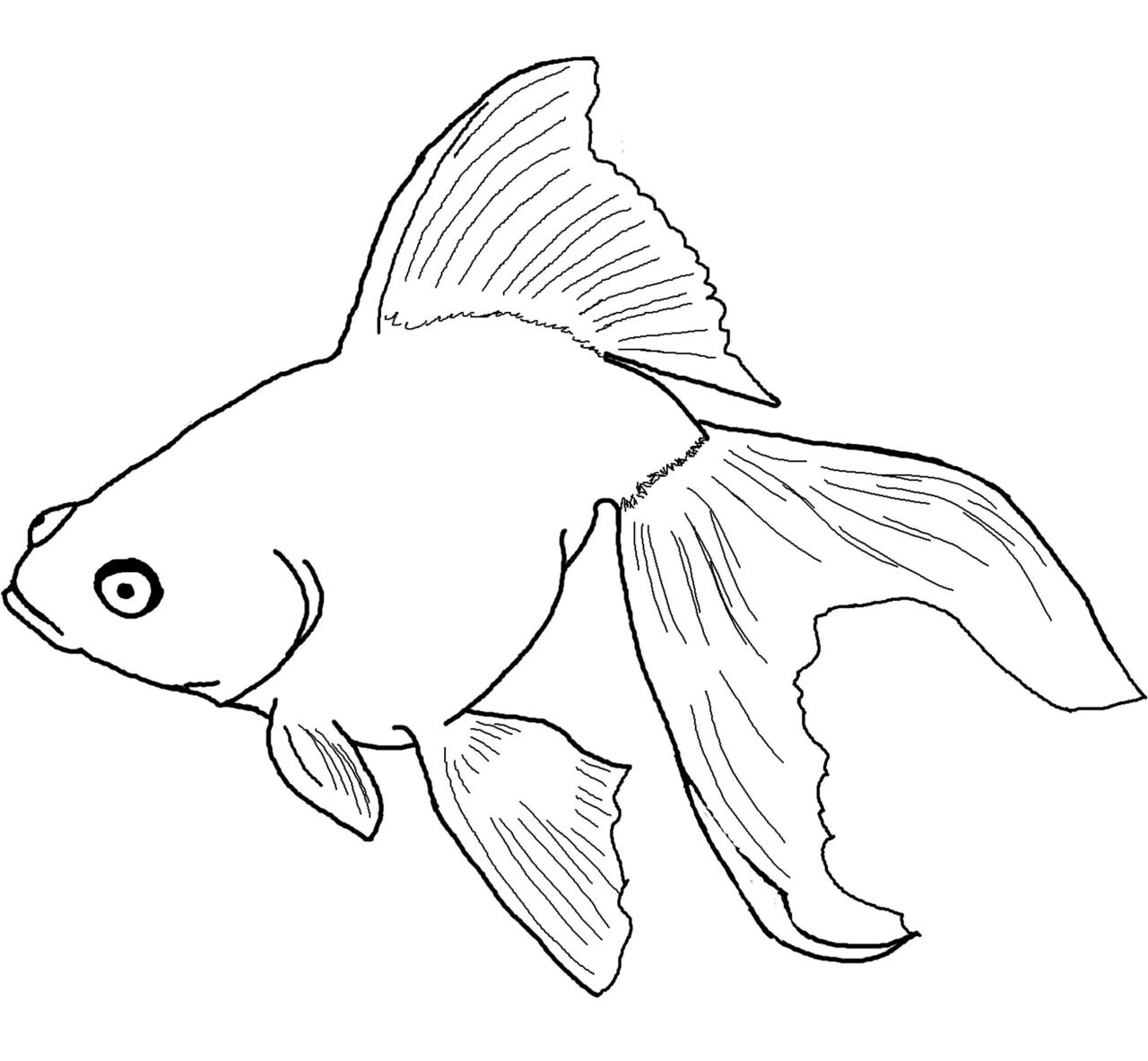 Fish coloring pages