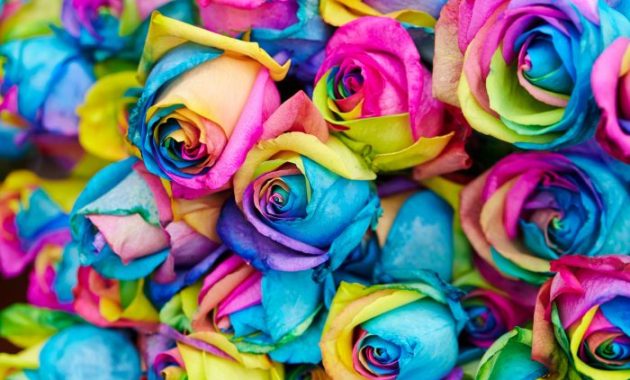 Can you dye flowers with food coloring