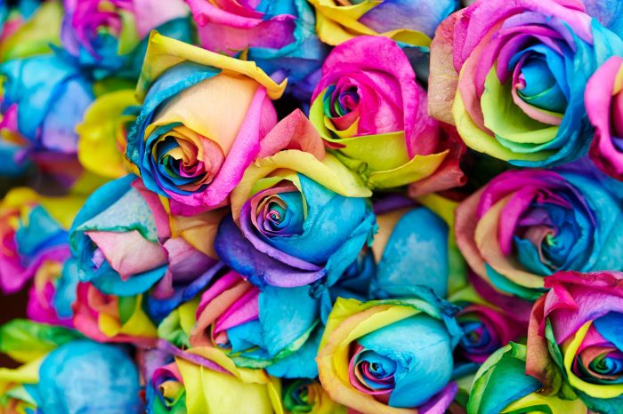 Can you dye flowers with food coloring